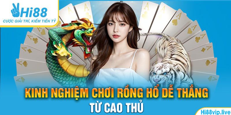 Kinh nghiệm chơi rồng hổ dễ thắng từ cao thủ