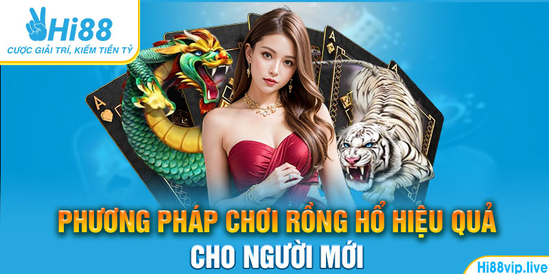 Phương pháp chơi rồng hổ hiệu quả cho người mới