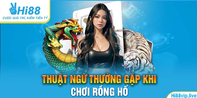 Thuật ngữ thường gặp khi chơi rồng hổ